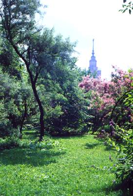 Ботанический сад Московского университета.